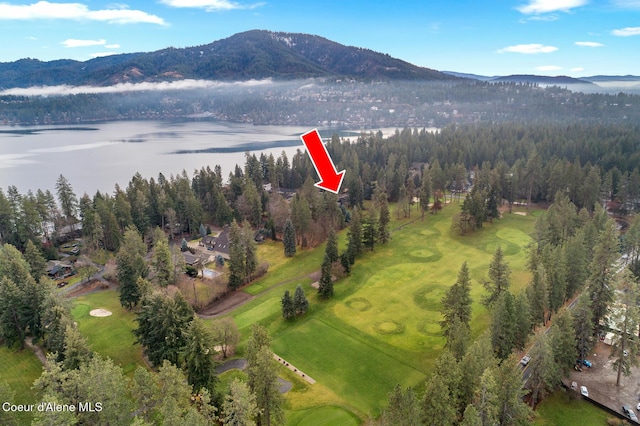 birds eye view of property with a water and mountain view