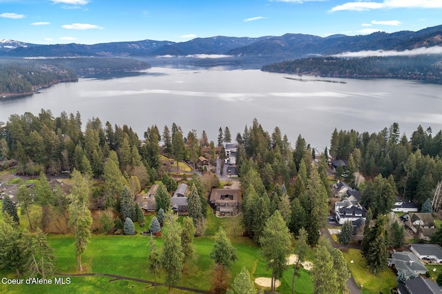 birds eye view of property featuring a water and mountain view