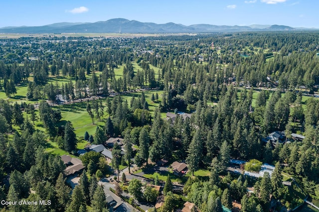 drone / aerial view with a mountain view