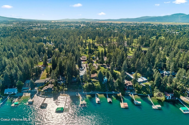 birds eye view of property featuring a water and mountain view