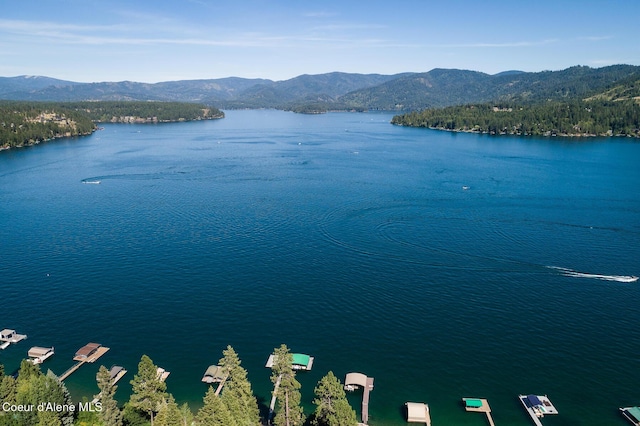 property view of water featuring a mountain view