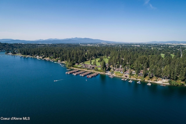 9641 N Easy St, Hayden Lake, ID 83835 - photo 66