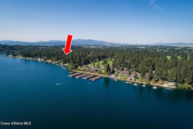 bird's eye view featuring a water and mountain view