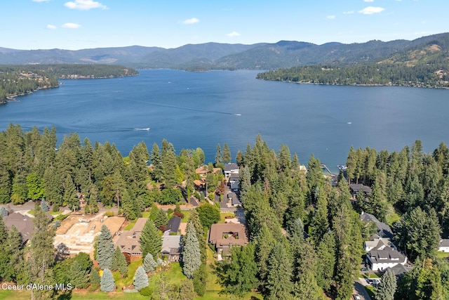 9641 N Easy St, Hayden Lake, ID 83835 - photo 51