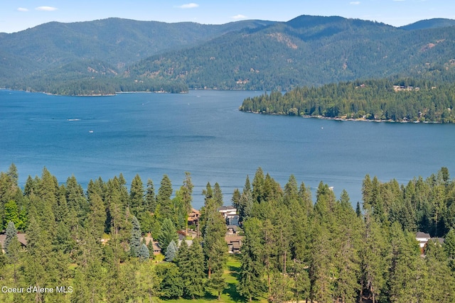 9641 N Easy St, Hayden Lake, ID 83835 - photo 55