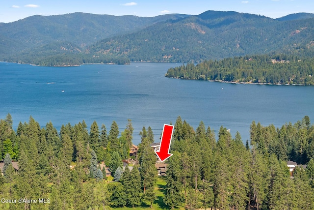 9641 N Easy St, Hayden Lake, ID 83835 - photo 56