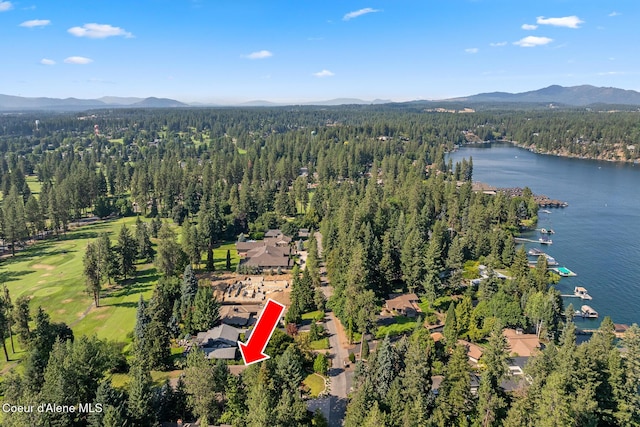 9641 N Easy St, Hayden Lake, ID 83835 - photo 60