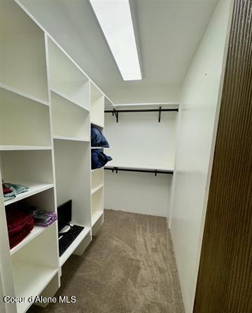 walk in closet with carpet flooring