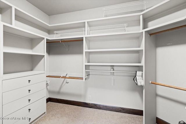 walk in closet featuring light colored carpet