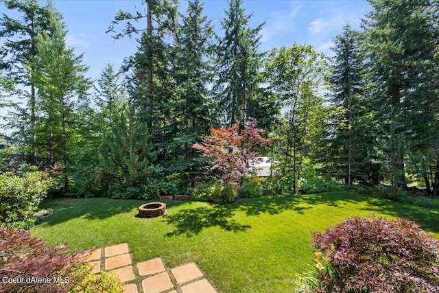 view of yard with an outdoor fire pit