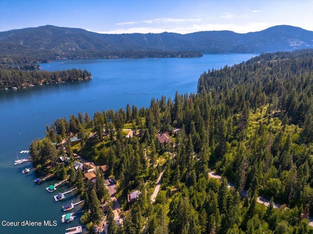 birds eye view of property featuring a water and mountain view