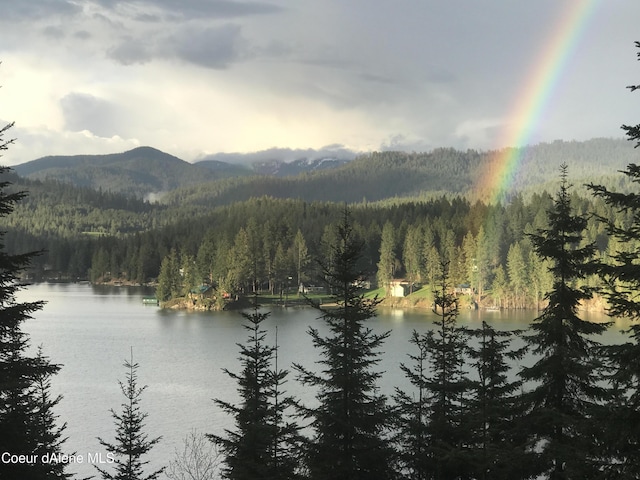 property view of water with a mountain view