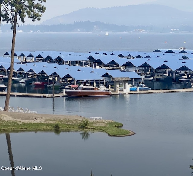 water view with a residential view