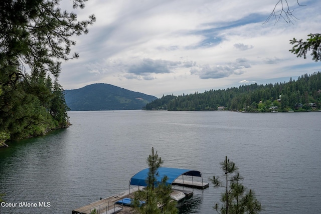 water view featuring a mountain view and a dock