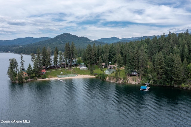 water view featuring a mountain view