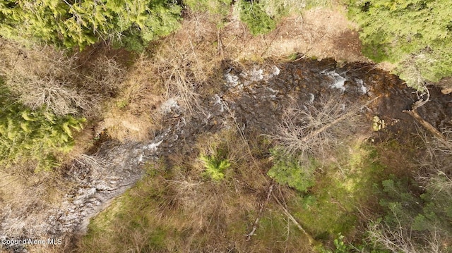 NKA Evans Creek Rd, Medimont, ID 83842 - photo 10