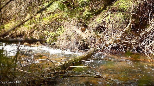 NKA Evans Creek Rd, Medimont, ID 83842 - photo 14