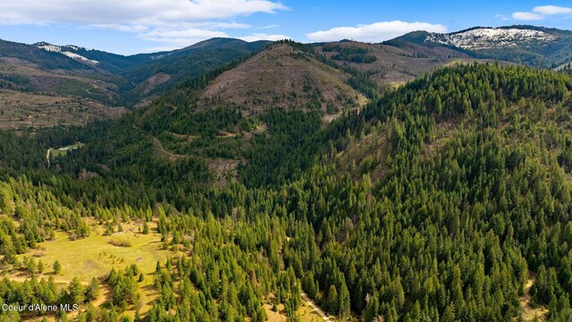 NKA Evans Creek Rd, Medimont, ID 83842 - photo 15