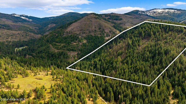 NKA Evans Creek Rd, Medimont, ID 83842 - photo 7