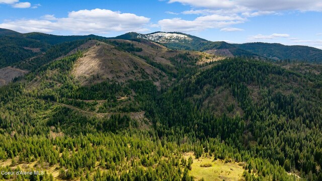 NKA Evans Creek Rd, Medimont, ID 83842 - photo 16
