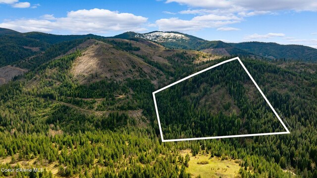 NKA Evans Creek Rd, Medimont, ID 83842 - photo 17