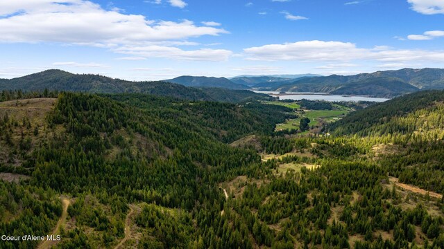 NKA Evans Creek Rd, Medimont, ID 83842 - photo 18