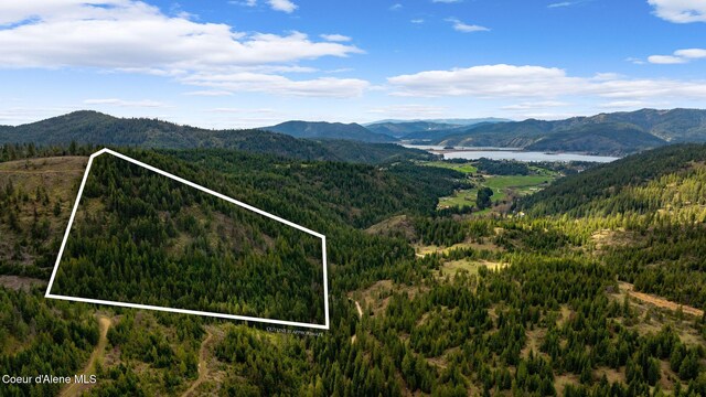 NKA Evans Creek Rd, Medimont, ID 83842 - photo 19