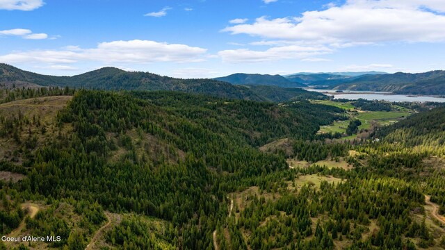 NKA Evans Creek Rd, Medimont, ID 83842 - photo 20