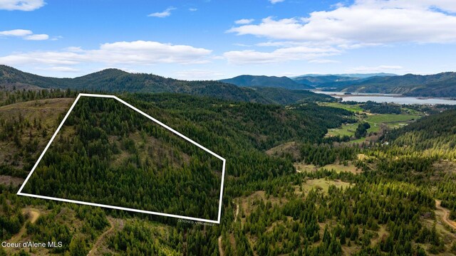 NKA Evans Creek Rd, Medimont, ID 83842 - photo 1