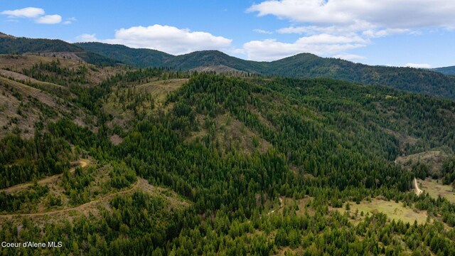 NKA Evans Creek Rd, Medimont, ID 83842 - photo 21