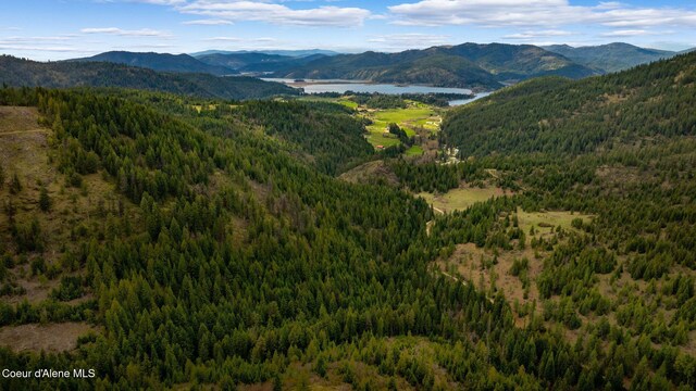 NKA Evans Creek Rd, Medimont, ID 83842 - photo 22