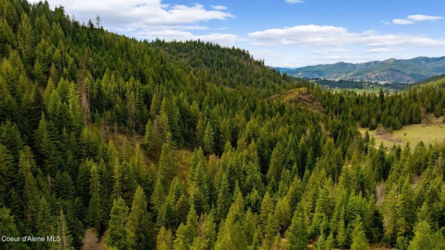NKA Evans Creek Rd, Medimont, ID 83842 - photo 25