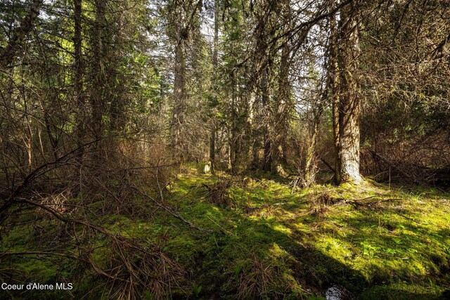 NKA Evans Creek Rd, Medimont, ID 83842 - photo 27
