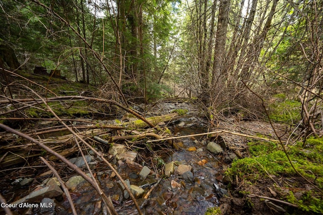 NKA Evans Creek Rd, Medimont, ID 83842 - photo 2