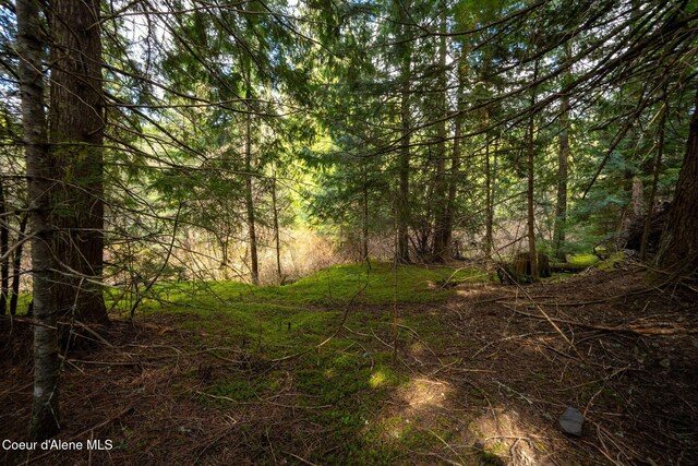 NKA Evans Creek Rd, Medimont, ID 83842 - photo 12