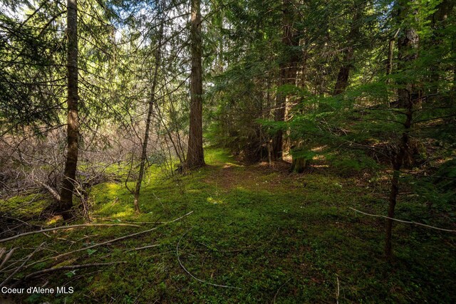 NKA Evans Creek Rd, Medimont, ID 83842 - photo 8