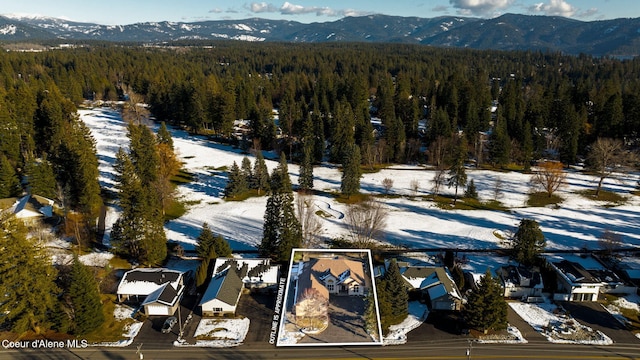 snowy aerial view featuring a mountain view