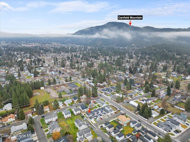 drone / aerial view featuring a mountain view