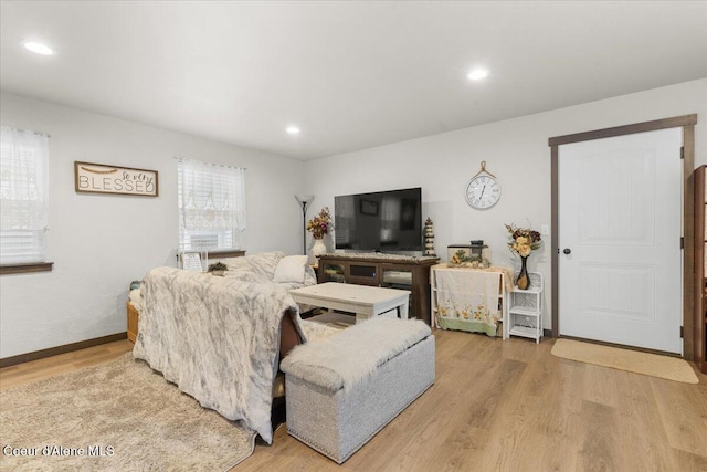 living room with light hardwood / wood-style flooring