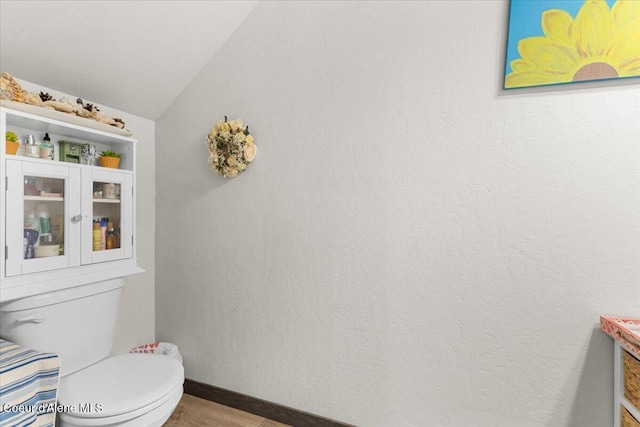 bathroom with hardwood / wood-style flooring, vanity, toilet, and vaulted ceiling