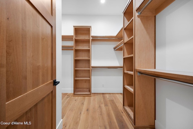 spacious closet featuring light hardwood / wood-style flooring