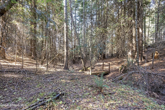 view of local wilderness