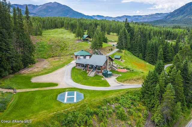 drone / aerial view featuring a mountain view