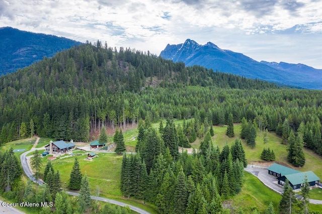 bird's eye view with a mountain view