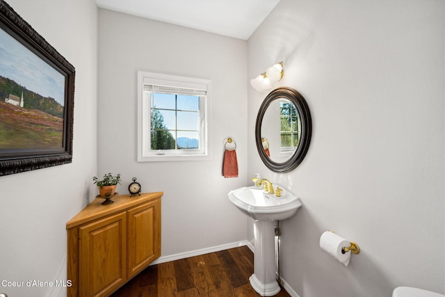 bathroom with hardwood / wood-style flooring