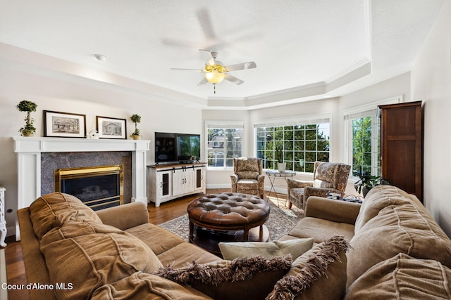 living room with a tray ceiling, hardwood / wood-style flooring, a healthy amount of sunlight, and a premium fireplace