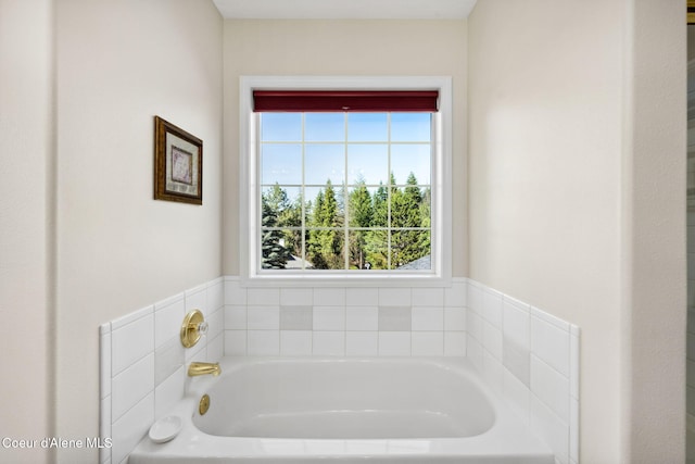 bathroom featuring a bathtub