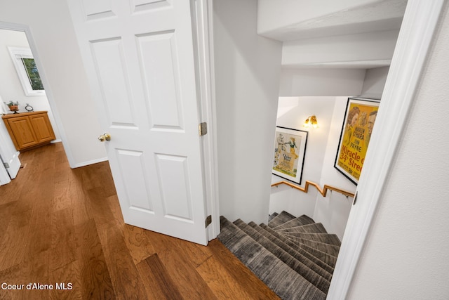 stairway with hardwood / wood-style flooring