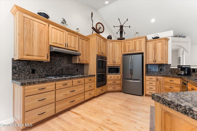 kitchen with light wood finished floors, stainless steel appliances, dark countertops, tasteful backsplash, and under cabinet range hood