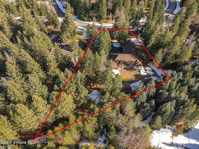 aerial view with a forest view